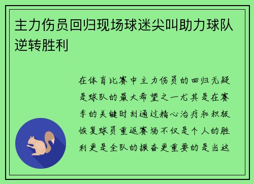 主力伤员回归现场球迷尖叫助力球队逆转胜利