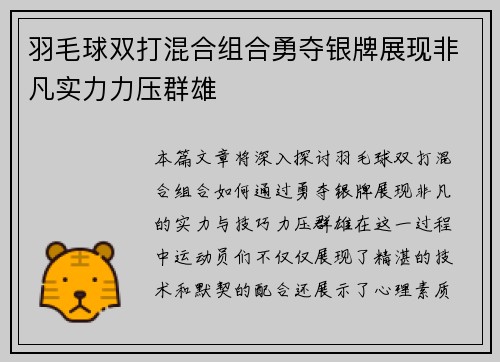 羽毛球双打混合组合勇夺银牌展现非凡实力力压群雄