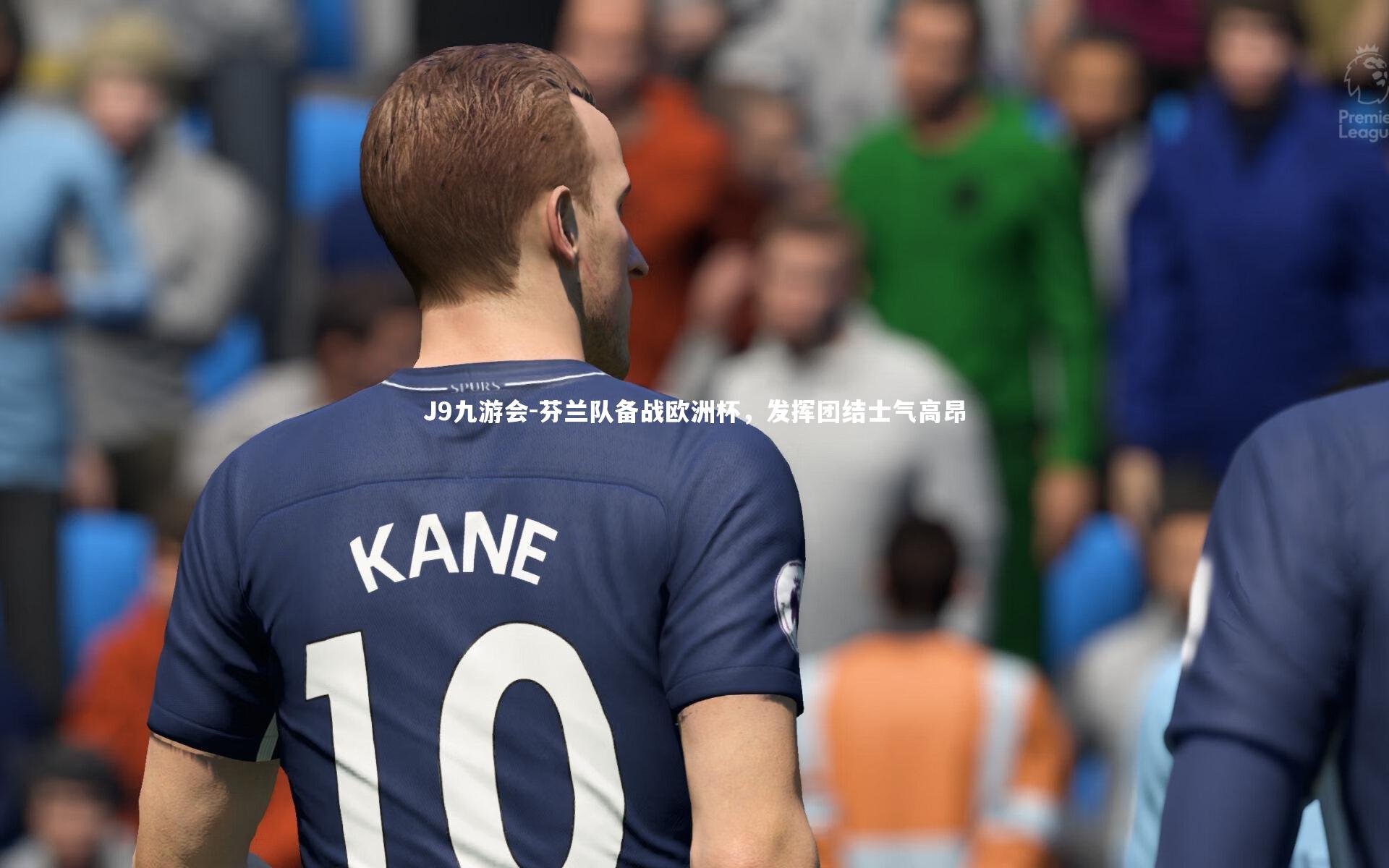 芬兰队备战欧洲杯，发挥团结士气高昂