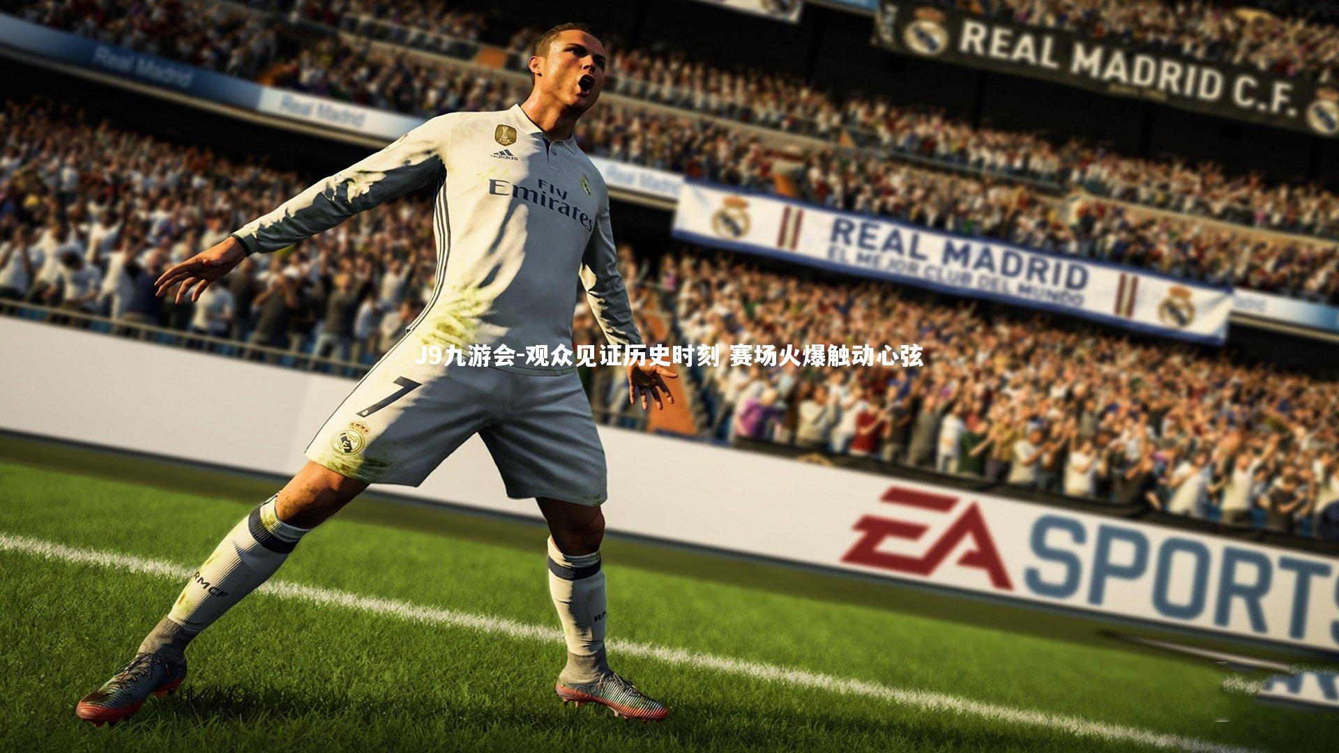 观众见证历史时刻 赛场火爆触动心弦